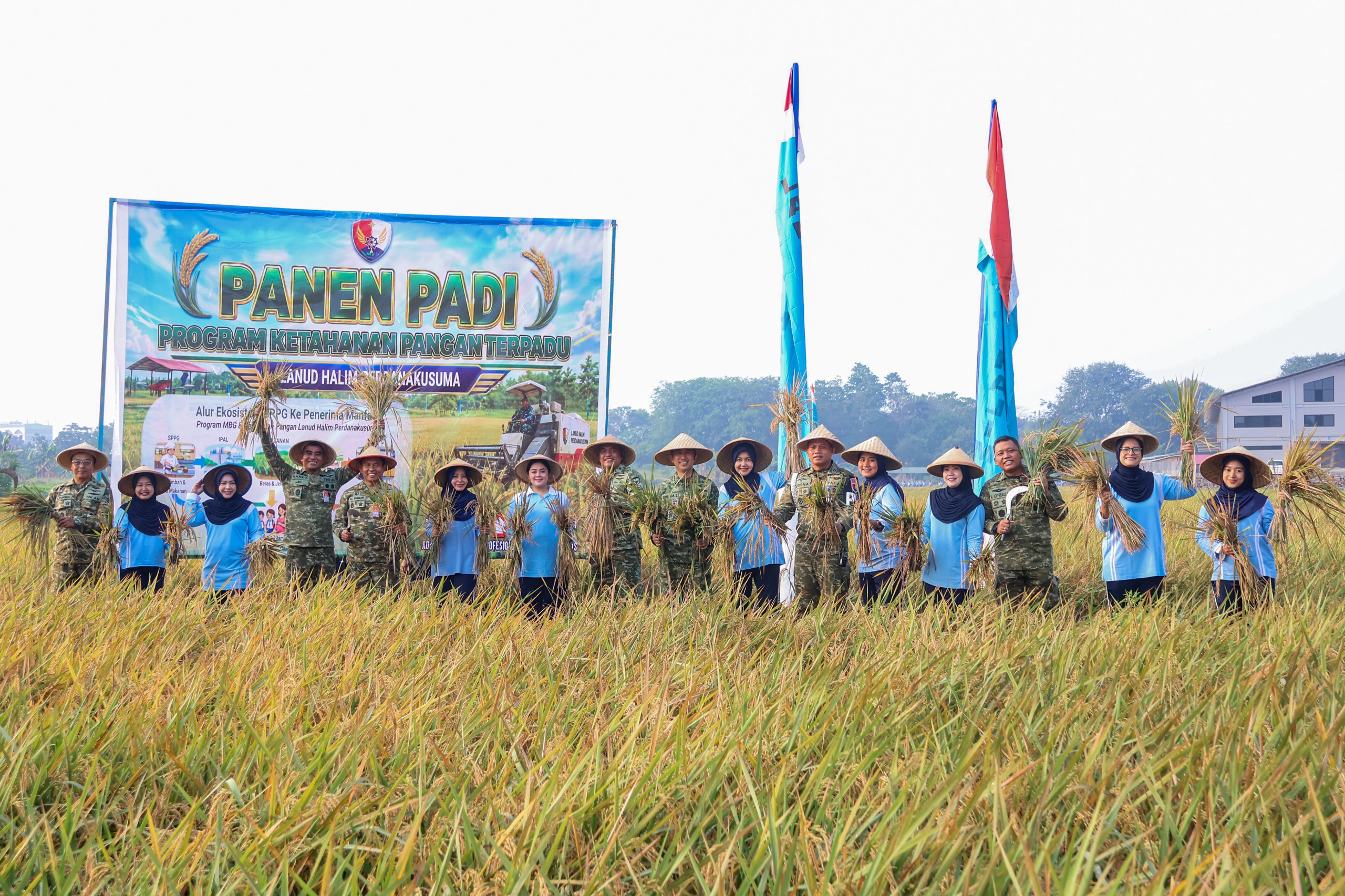 panen padi program ketahanan pangan terpadu lanud halim jakarta