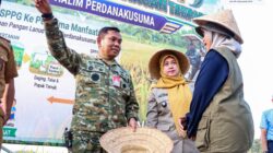marsma ali gusman panen padi lanud halim perdanakusuma ketahanan pangan`