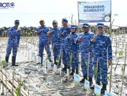 Jelang HUT ke-81 TNI, TNI AU dan TNI AL di Cirebon Kolaborasi Tanam 10.000 Mangrove di Pantai Baro