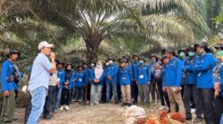 Perkuat Sawit Rakyat, PalmCo Gandeng IPB Training Tingkatkan Kompetensi 211 Petani Jambi