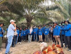 Perkuat Sawit Rakyat, PalmCo Gandeng IPB Training Tingkatkan Kompetensi 211 Petani Jambi